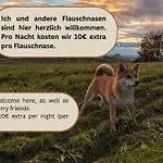 Urlaubsmagie - Steinpfad -mitten In Der Sebnitz